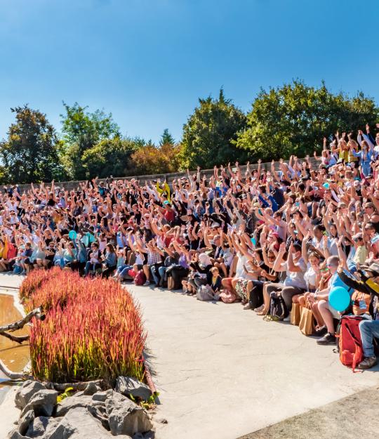 La famille Alfa3a au spectacle des oiseaux en vol