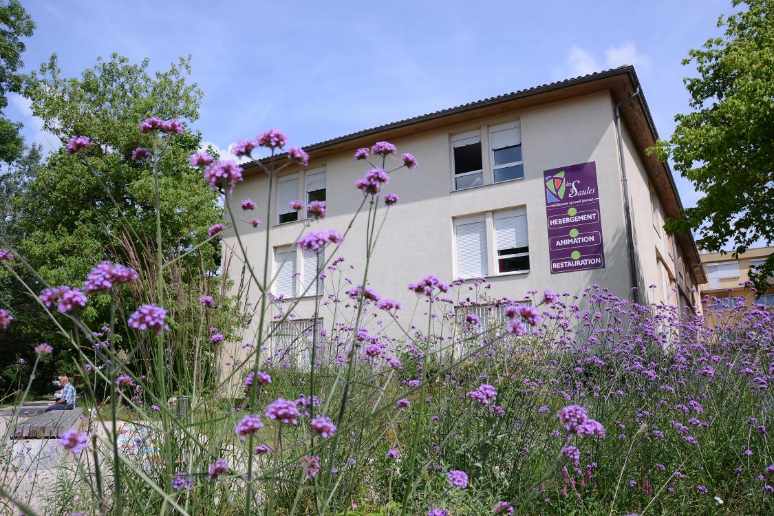 Extérieur de la résidence étudiante - jardin et fleurs violette